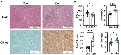 Chronic corticosterone exposure disrupts hepatic and intestinal bile acid metabolism in chicken